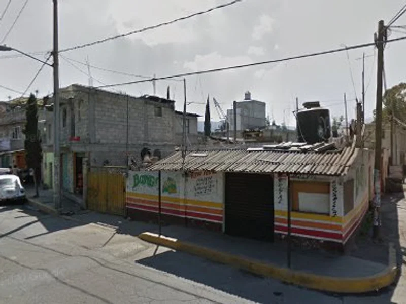 Quesadillas Doña pelos