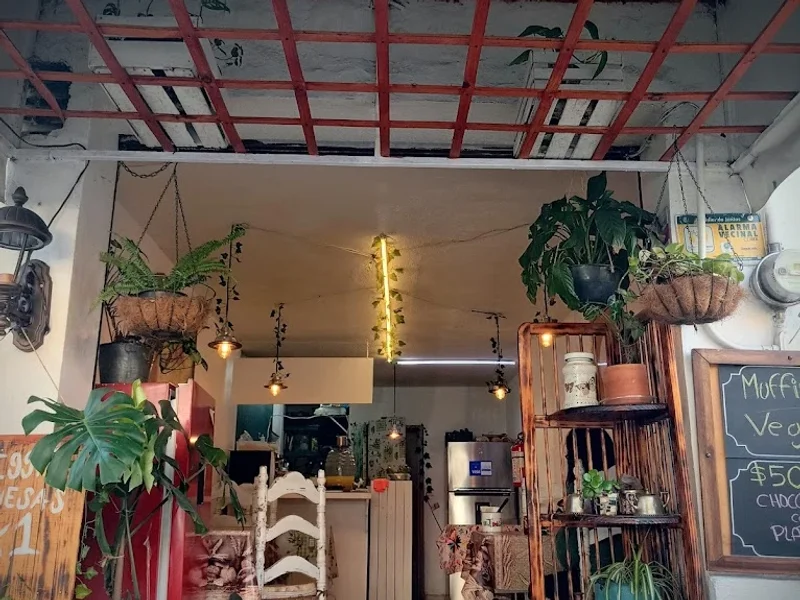 Veggie House Roma sur