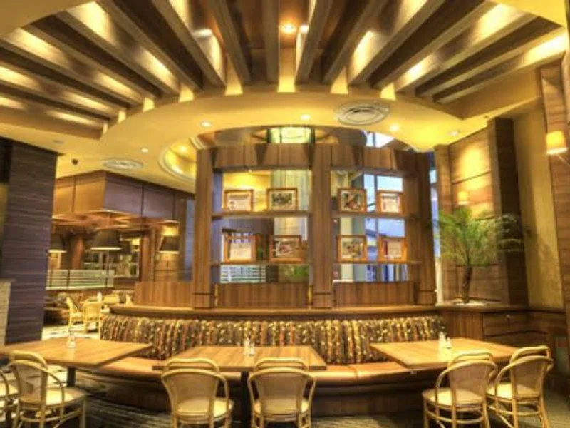 Toks Puente de Alvarado