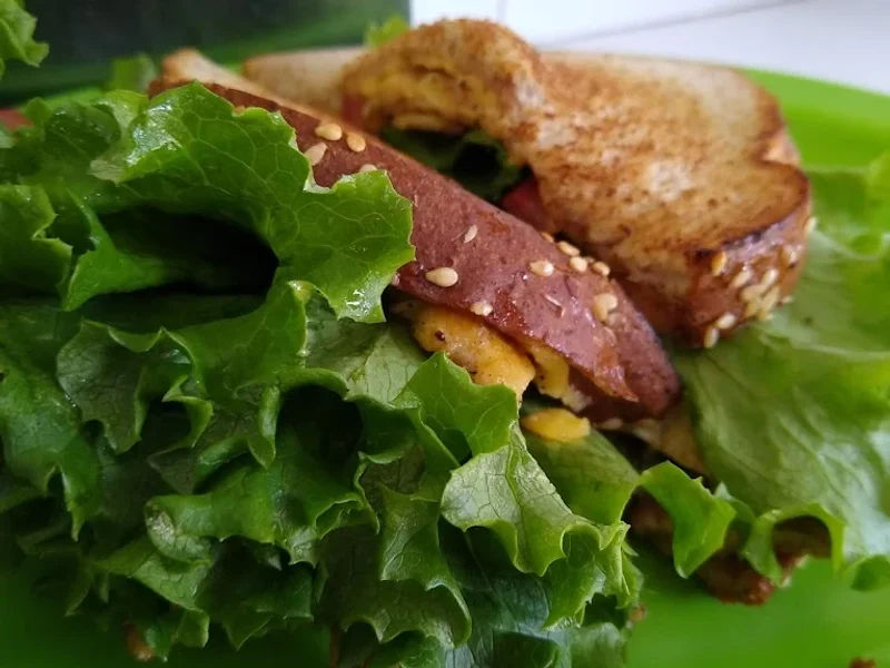 La Tortuga de la Roma