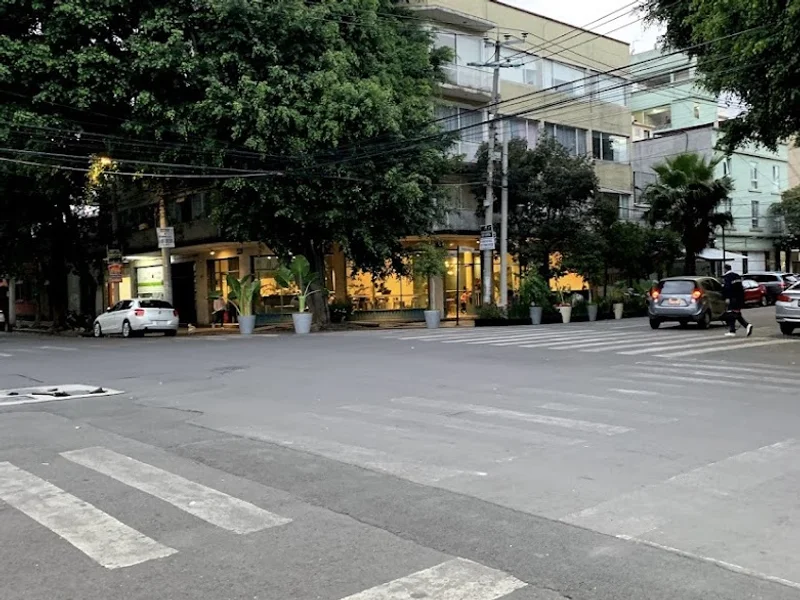 Finca Don Porfirio Cafetería san Rafael II