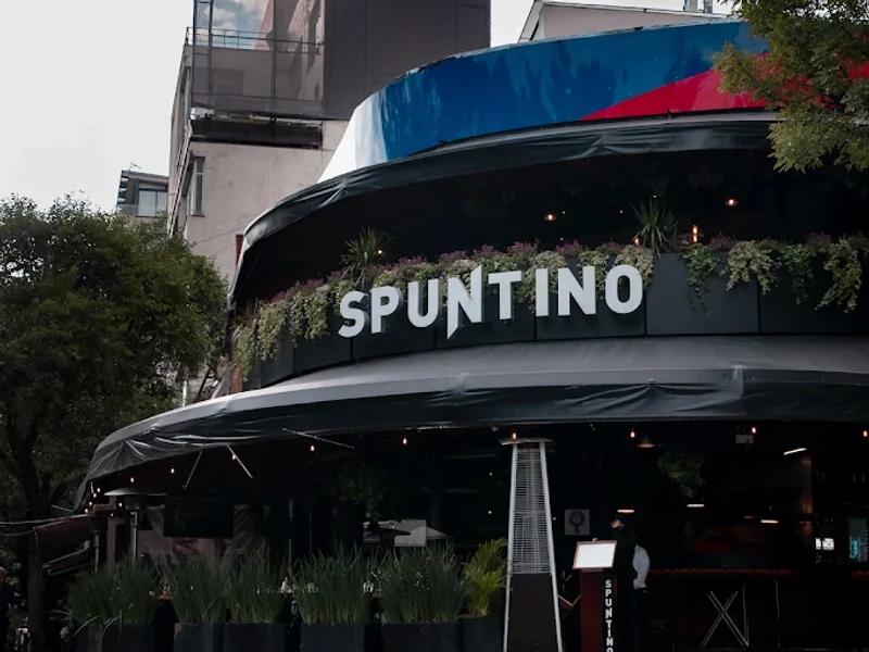 Spuntino Polanquito