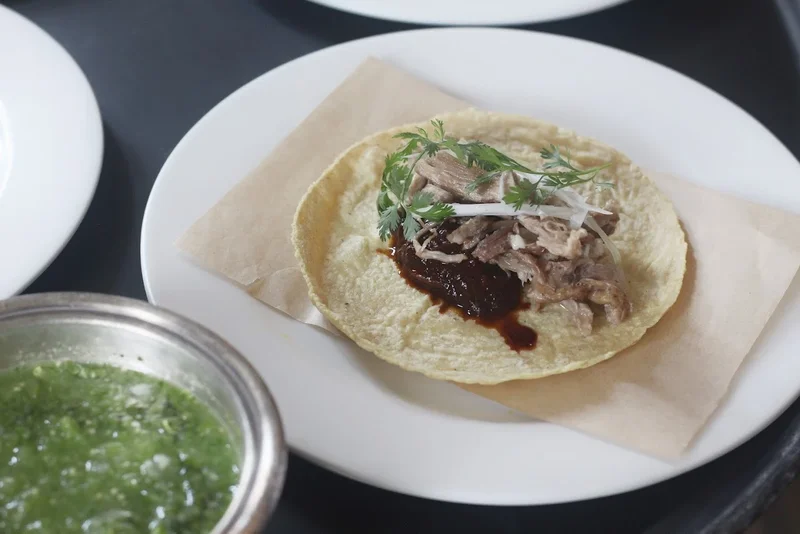 Casa Virginia Mónica Patiño