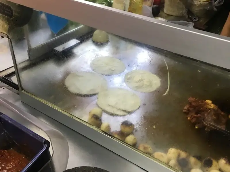 Por Siempre Vegana 2