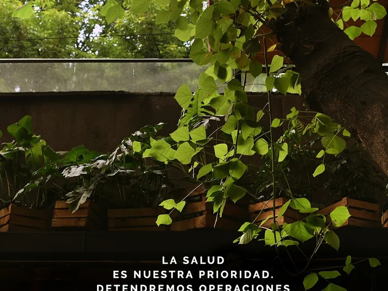 El Traspatio Bar & Grill