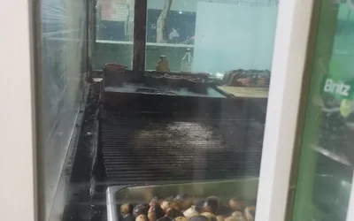 Los mejores 19 restaurantes pet friendly de San Rafael Mexico City