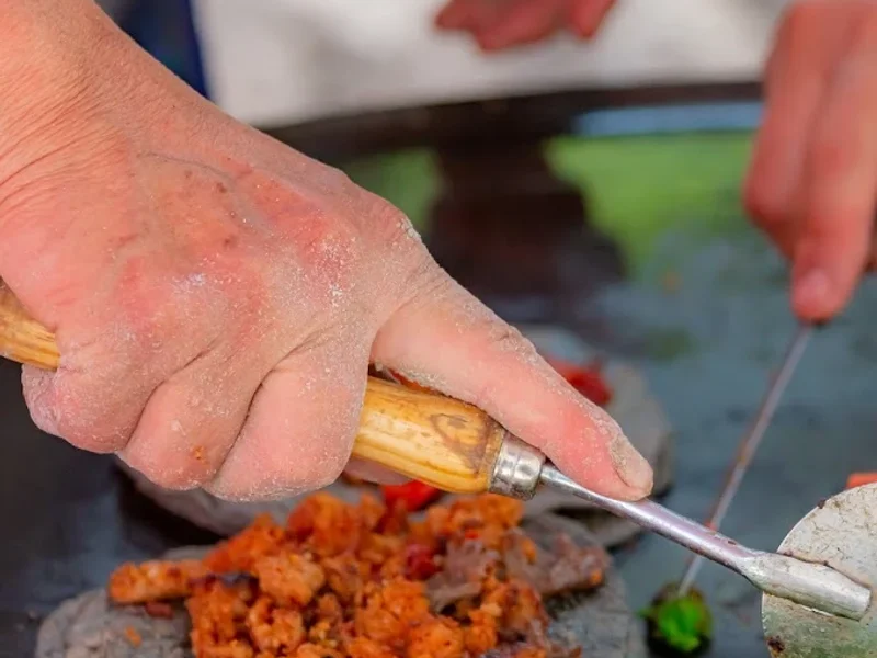 Quesadillas Anita y Lily