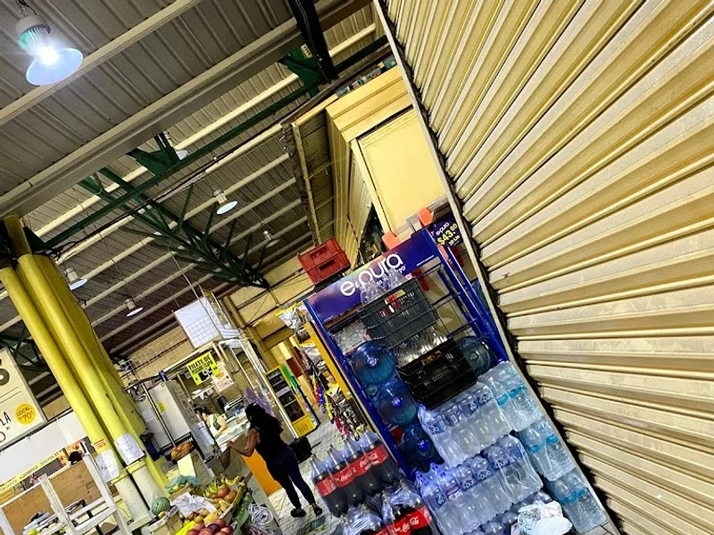 Mercado Jardin Balbuena