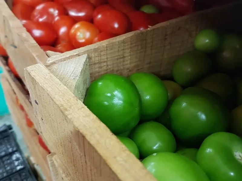 Fonda restaurante Las Chimichangas de Tlatelolco