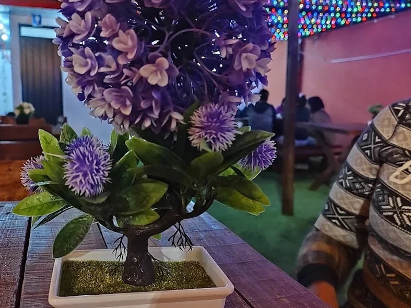 Food Garden Balbuena