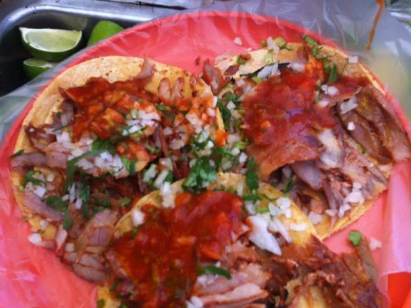 TACOS CHIN - CHU -TACON