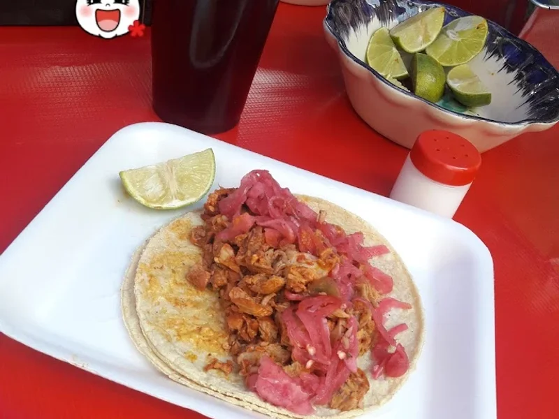 Tacos cerdonio