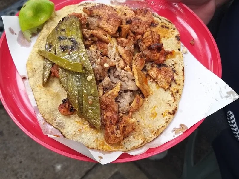 Tacos y quesadillas Doña Laura