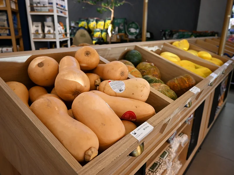 Ingredienta Pedregal