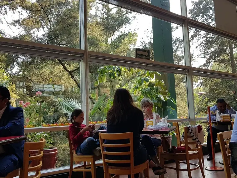 El Charco de las Ranas Pedregal