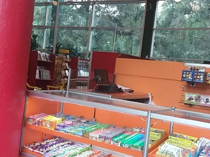 El Charco de las Ranas Pedregal