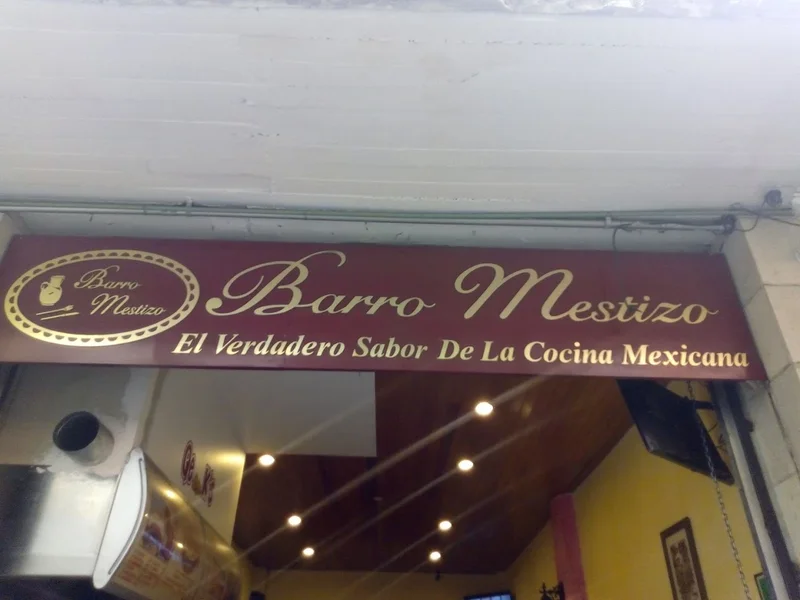 Barro Mestizo