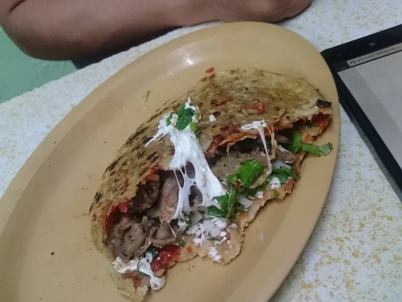 Deliciosos Antojitos Mexicanos "Elisa"