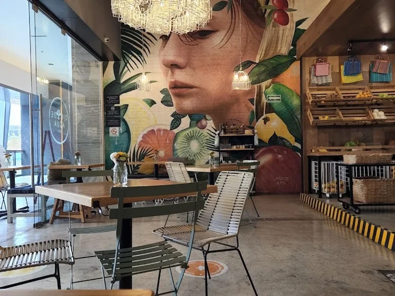 Ojo de Agua Artz Pedregal