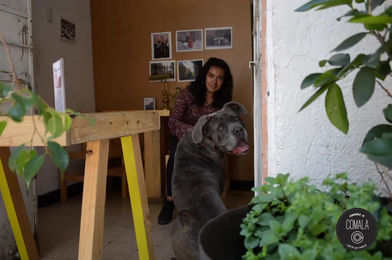 Camino a Comala: Café de especialidad