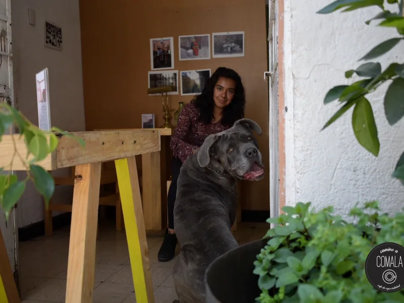 Camino a Comala: Café de especialidad