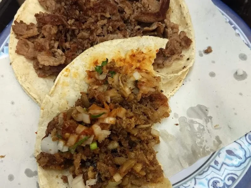 Taqueria Ramiro Tacos de Tripa