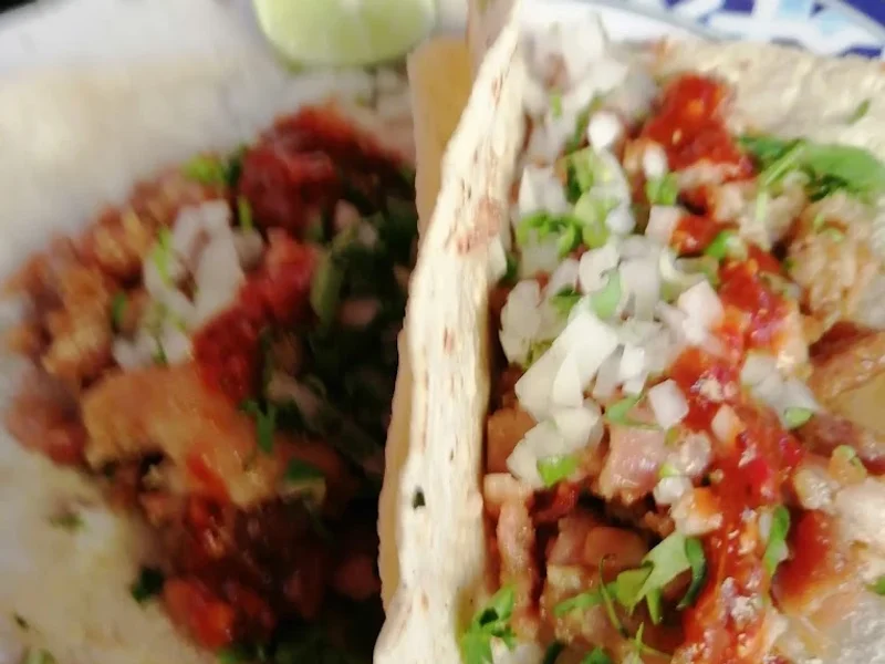 Taqueria Ramiro Tacos de Tripa