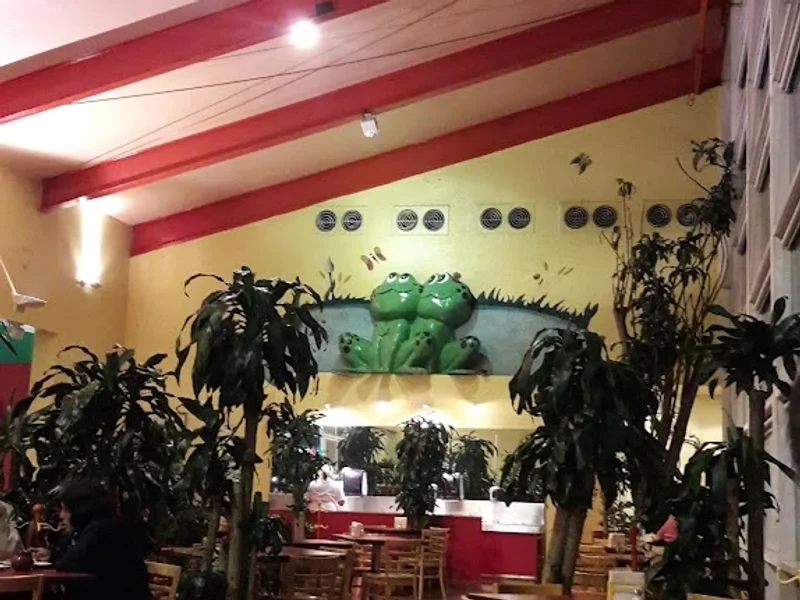 El Charco de las Ranas Pedregal