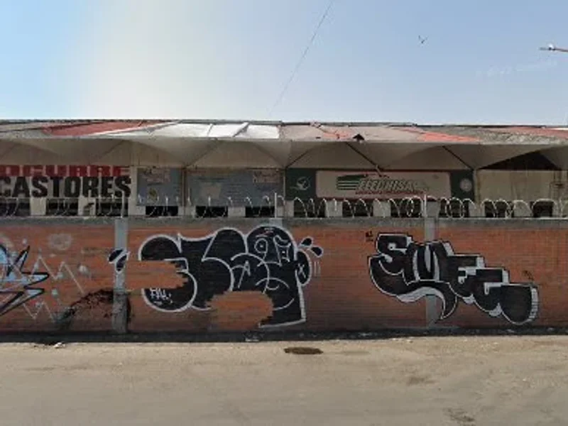 Mexicana de Paqueteria Urgente, S. A. de C. V.