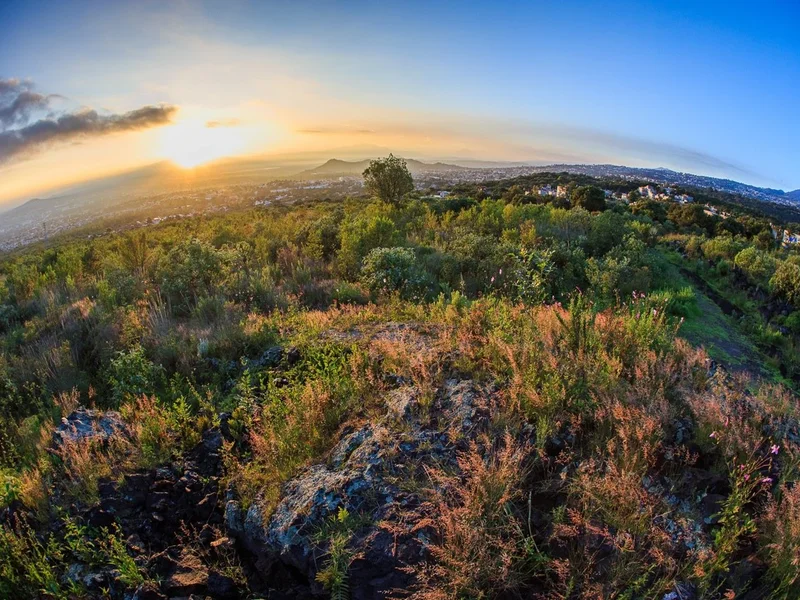 Área Natural Protegida Parque Ecológico de la Ciudad de México