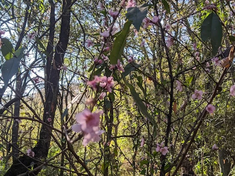Parque Ecológico de la Ciudad de México
