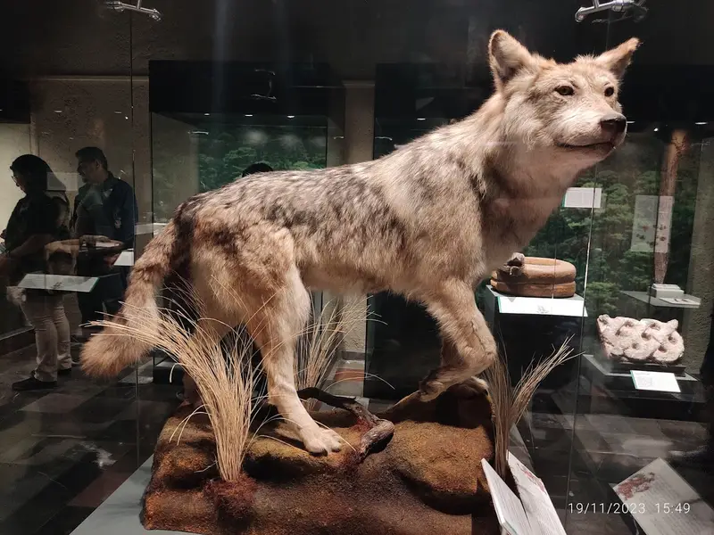 Museo del Templo Mayor