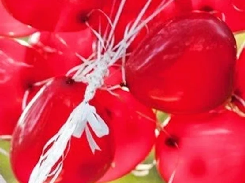 La Casita de las Novias México