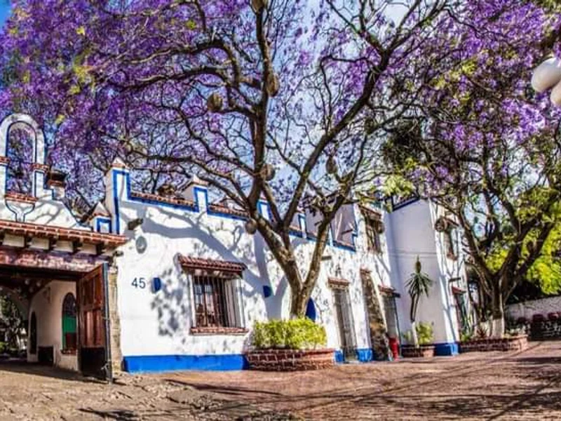 Boda civil (a domicilio o con cita en el juzgado)