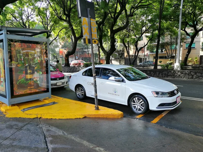 Sitio de Taxis 356 Polanco