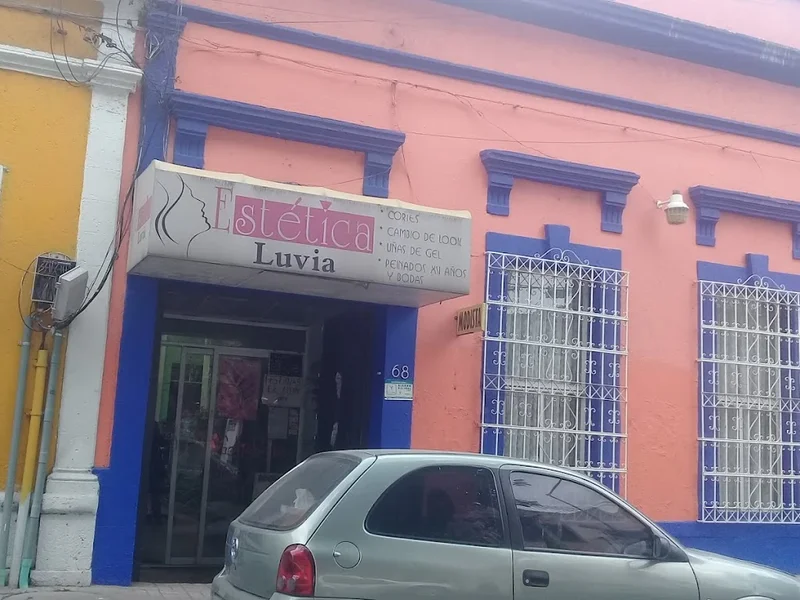 Modista Luvia