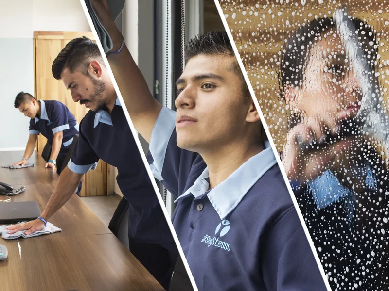 Stesso Limpieza Profesional