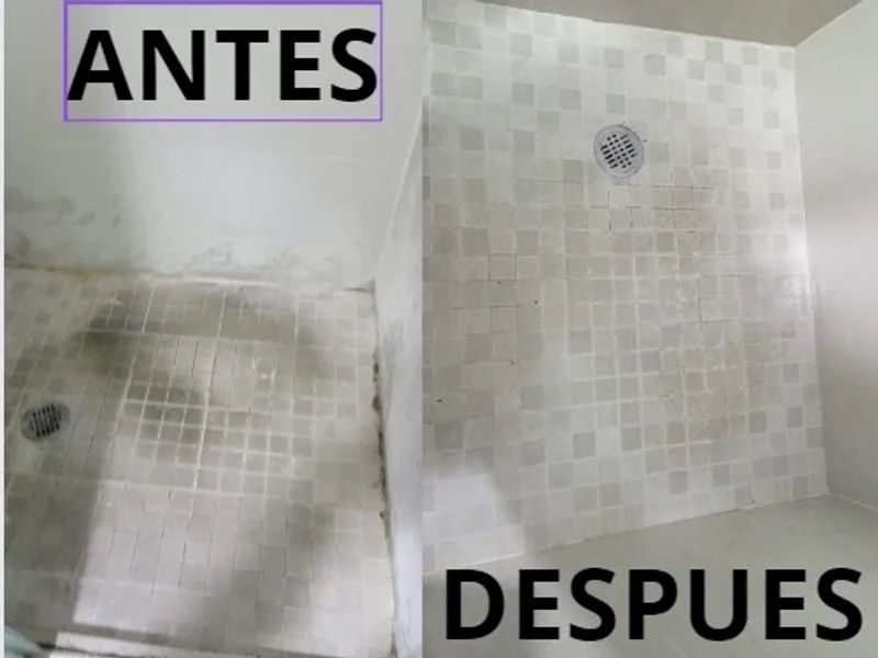 Empresa de Limpieza | Mas que Limpieza