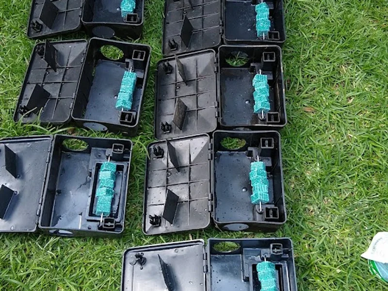 Limpieza profunda desde 2004