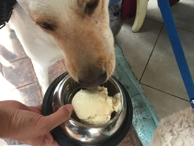 Heladería Escandón