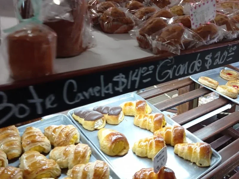 La Vasconia SA de CV