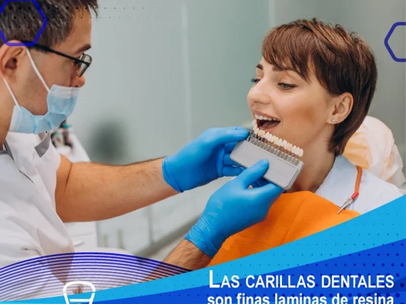 Dental Holbein