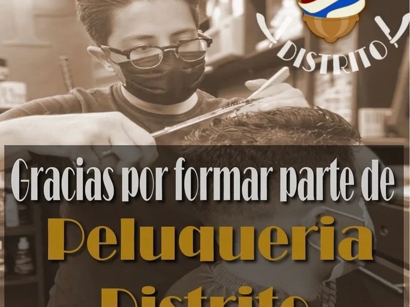 Peluquería Distrito Zapata