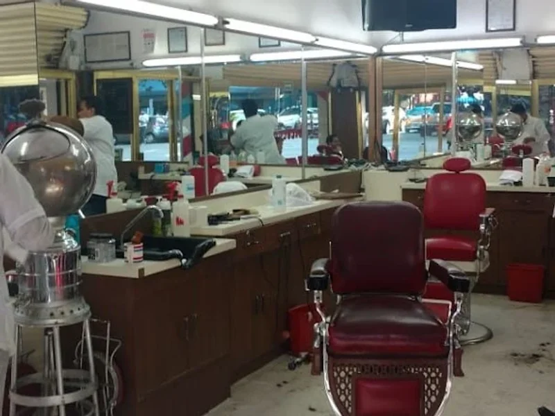 Peluquería Excelsior