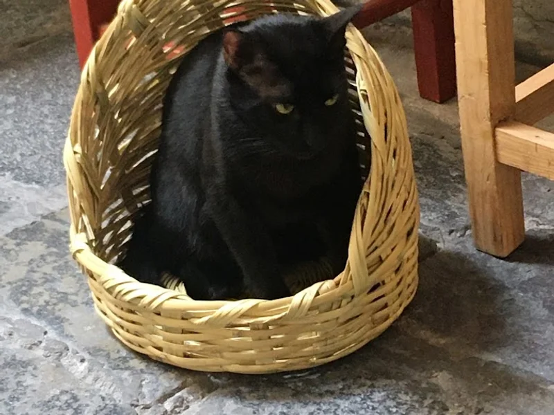 LUARD HOME / CANASTAS / TIENDA DE ARTICULOS PARA EL HOGAR