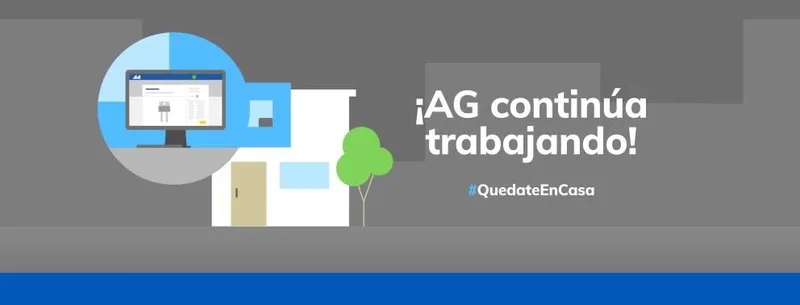 AG Electronica Vallejo