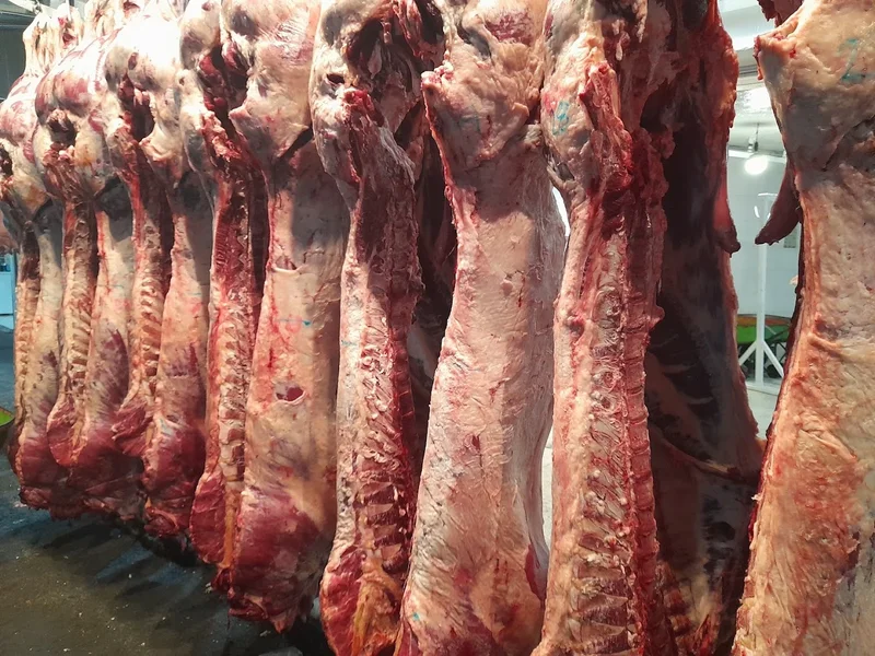 CARNICERÍA LA CHIQUITA