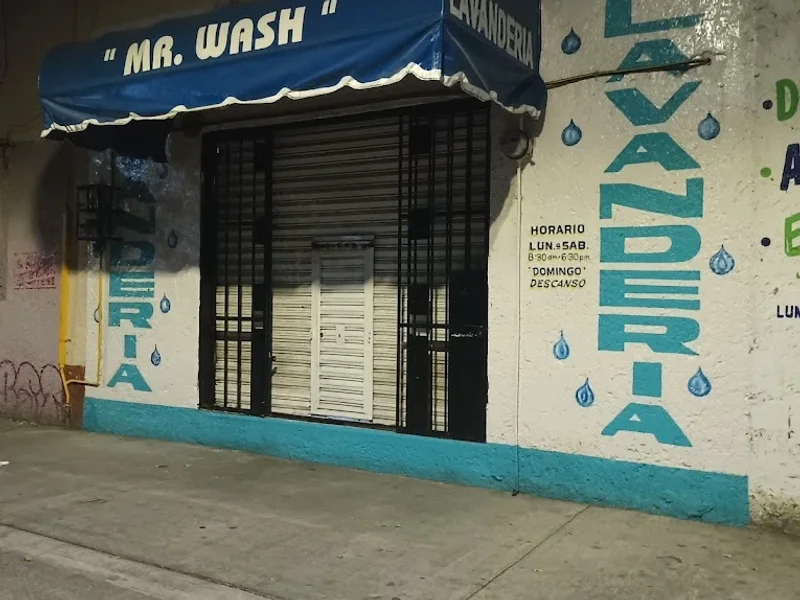 "MR. WASH"