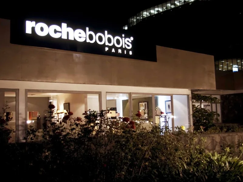 Roche Bobois