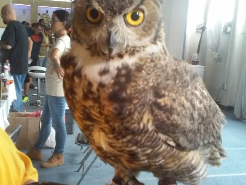 Foto Estudio Reforma